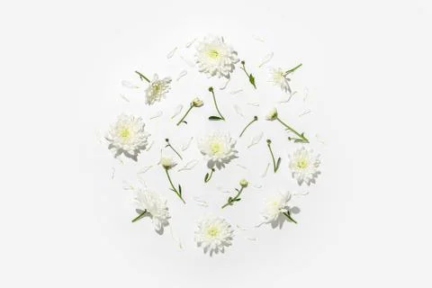 Floral flat lay creative concept, white flowers and petals lying down on whit Stock Photos