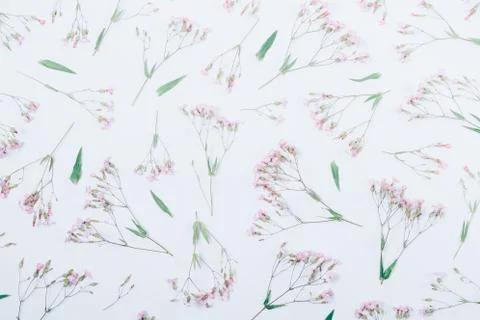 Floral flat lay pattern made of pink flowers Stock Photos