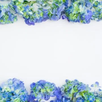 Floral frame with blue hydrangea flowers on white background. Flat lay, top v 写真素材
