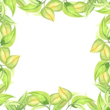 Floral frame, border, template isolated on white. Watercolor hand drawn floral Illustrazione stock