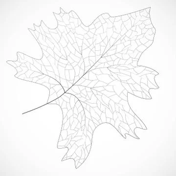 Floral frame design. Isolated leaf illustration element. Silhouette vector. E Stock Illustration