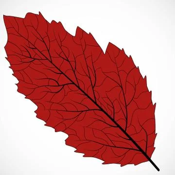 Floral frame design. Isolated leaf illustration element. Silhouette vector. E Stock Illustration