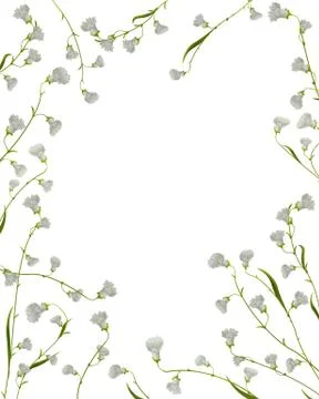 A floral frame 스톡 일러스트