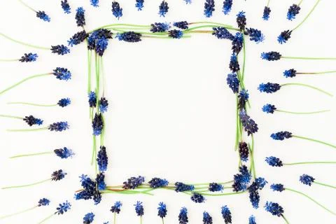 Floral frame made of spring flowers on white background. Flat lay, top view. 库存照片