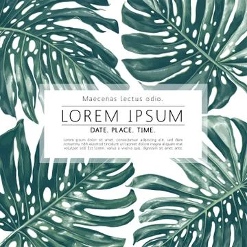 Floral Frame Monstera Illustrazione stock