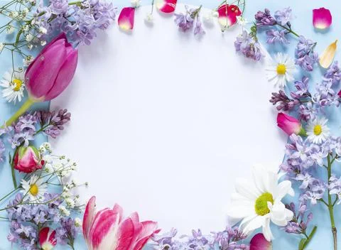 Floral frame Фото
