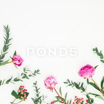 Floral frame of pink peonies, hypericum and eucalyptus on white background. F Stock Photos