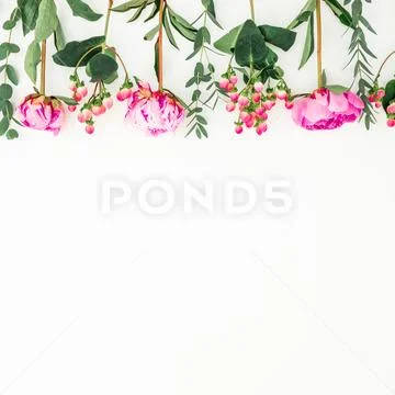 Floral frame of pink peonies, hypericum and eucalyptus on white background. F Stock Photos