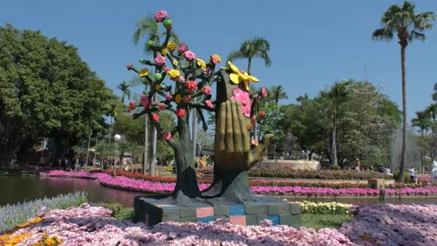 Floral garden composition at Buak Had park Видео 343919973