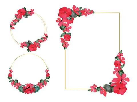 Floral geometric vector design frame. Red rose, camellia, ranunculus, eucalyptus Illustrazione stock