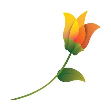 Floral Glory Stock Illustration