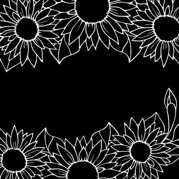 Floral graphic border, white pattern on black background, greeting card Illustrazione stock