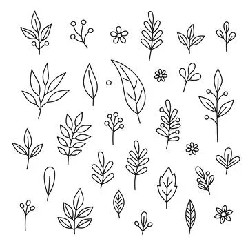 Floral Graphic Design Elements Set on White Background. Vector Illustrazione stock