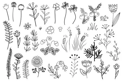 Floral graphic elements Stock Illustration