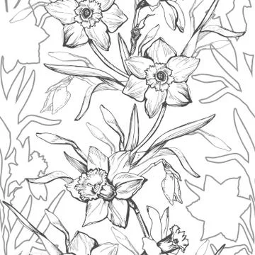 Floral graphic seamless pattern with hand drawn flowers daffodils, Stock Illustration