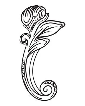 Floral hand drawing scroll design element vector illustration Illustrazione stock
