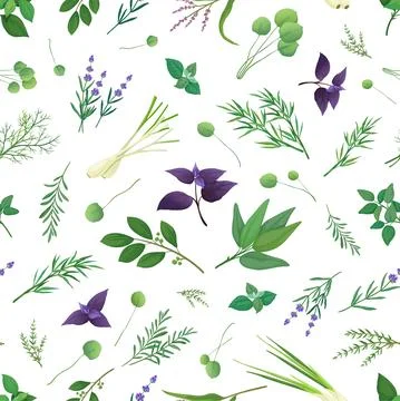Floral herb pattern. Delicate botanical herbals, elegant blossom decoration and Stock Illustration