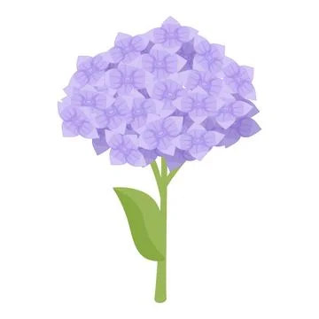 Floral hydrangea icon cartoon vector. Petal plant leaf Stock Illustration