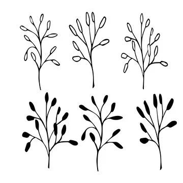 Floral ink hand drawn elements, isolate on white background Stock Illustration