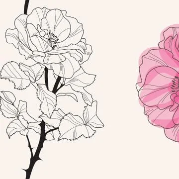 Floral invitation Stock Illustration