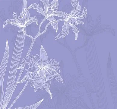 Floral invitation Stock Illustration