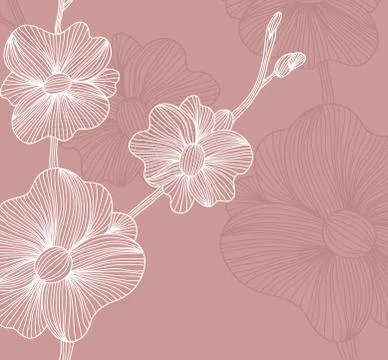 Floral invitation Stock Illustration