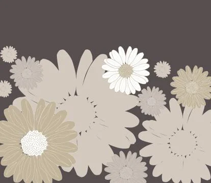 Floral invitation Stock Illustration