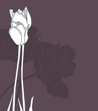 Floral invitation Stock Illustration