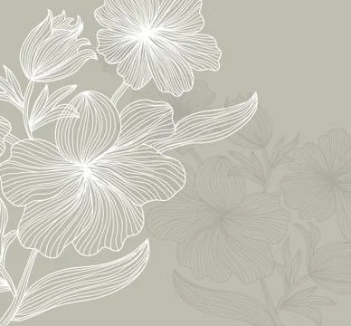 Floral invitation Stock Illustration