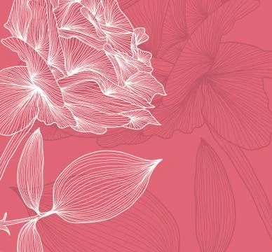 Floral invitation Stock Illustration