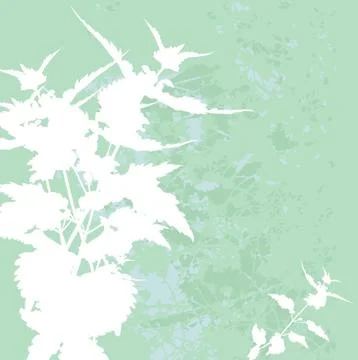 Floral invitation Stock Illustration