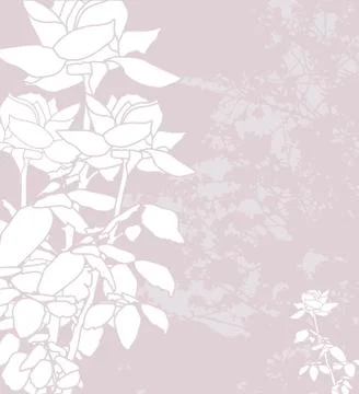 Floral invitation Stock Illustration