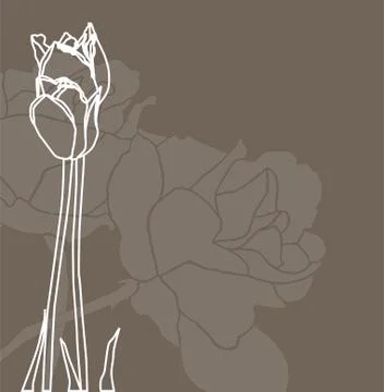 Floral invitation Stock Illustration