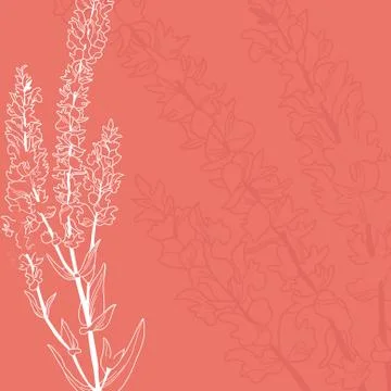 Floral invitation Stock Illustration