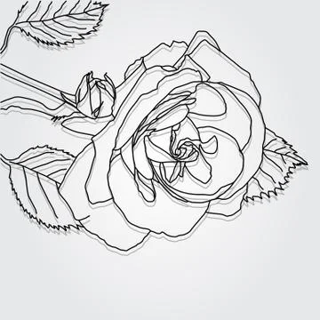 Floral invitation Stock Illustration