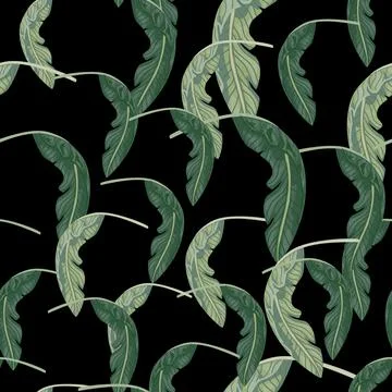 Floral jungle seamless pattern with random pale green tropic leaf elements. B Ilustración de archivo