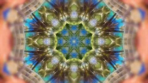 Floral Kaleidoscope Background Stock Footage 264652165