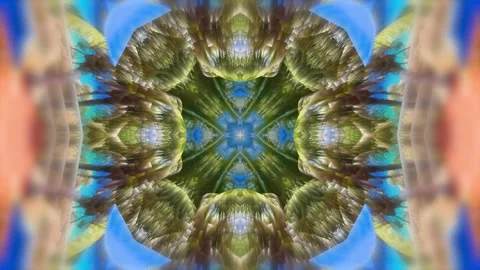 Floral Kaleidoscope Background Stock Footage 264652210