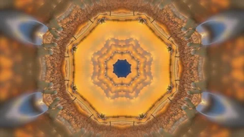 Floral Kaleidoscope Background Stock Footage 264652334