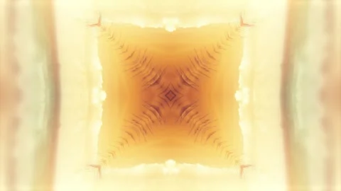 Floral Kaleidoscope Background Stock Footage 264652336