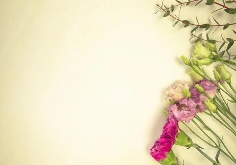 Floral layout from different fresh spring wildflowers on a yellow background Stock Photos