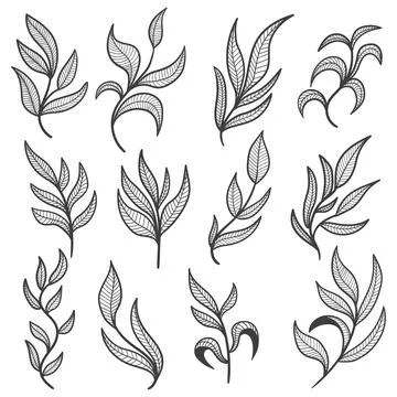 Floral leaf hand drawn elements set vector illustration 스톡 일러스트