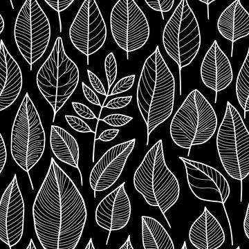 Floral Leaf Pattern, White Outline Drawing on Black Background Stock Illustration