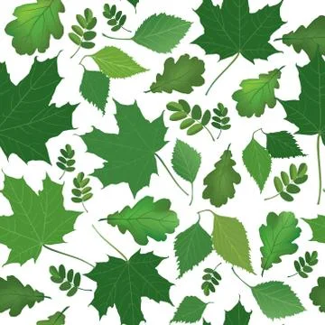 Floral leaves pattern Leaf seamless background Spring nature Stock Illustration