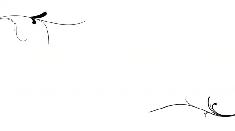Floral Lines Draw Template 库存影片 566671