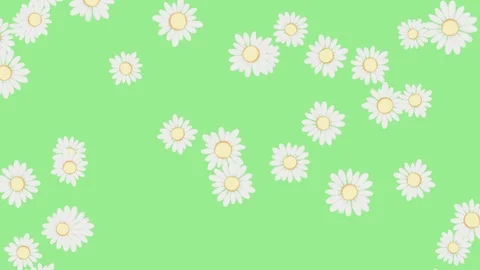 Floral Loopable Background 4K, 60fps Stock Footage 89831923