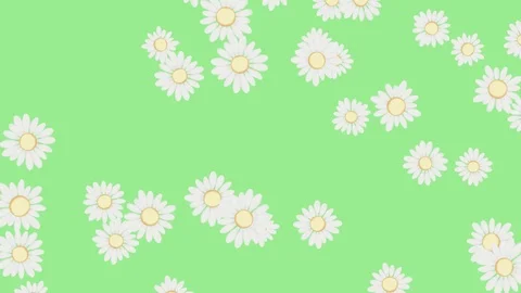 Floral Loopable Background 4K, 60fps Stock Footage 89834491