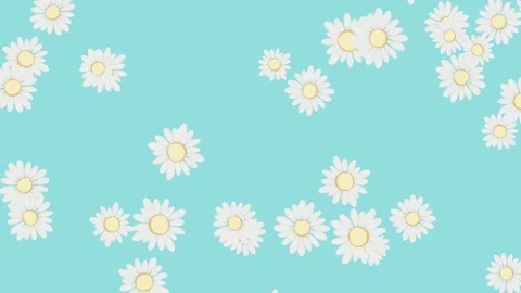 Floral Loopable Background 4K, 60fps Stock Footage 89834518