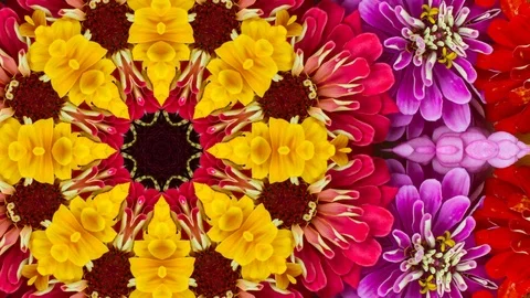 Floral mandala pattern background with copy space Stock Footage 124354895