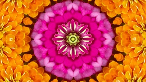 Floral mandala pattern background Stock Footage 124355066